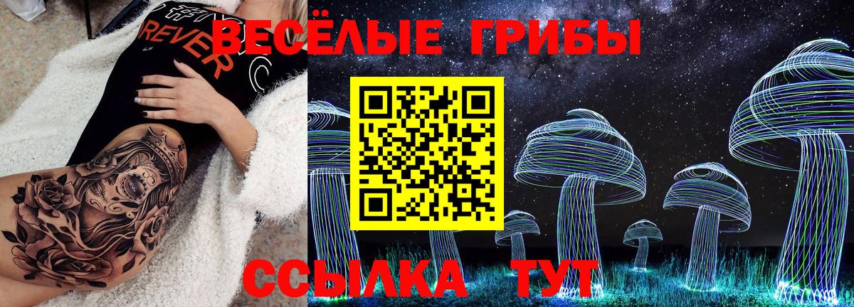 купить наркотик  Галлюциногенные грибы Magic Shrooms  Вход с VPN  Россошь 